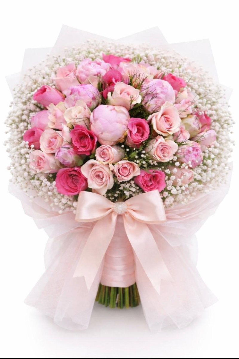 pembe şakayık ve pembe gül